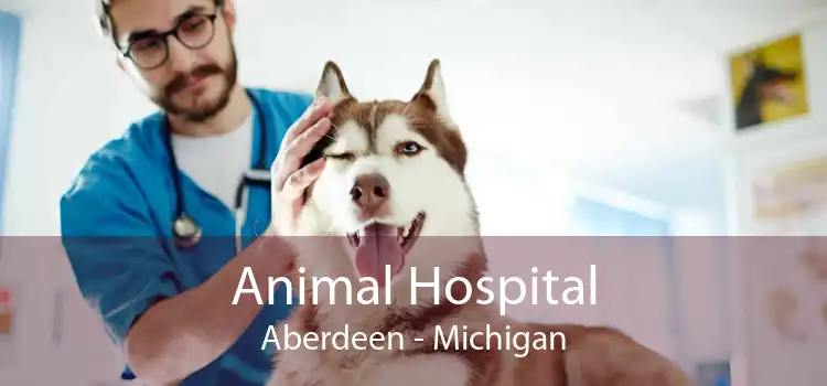 Animal Hospital Aberdeen - Michigan