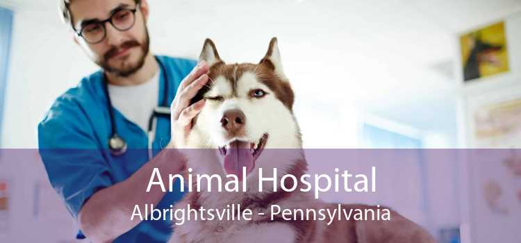 Animal Hospital Albrightsville - Pennsylvania