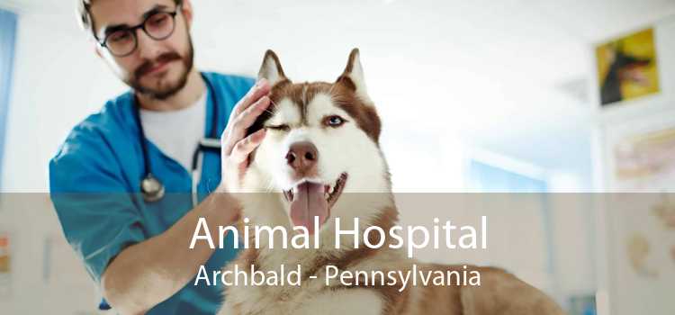 Animal Hospital Archbald - Pennsylvania