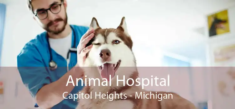 Animal Hospital Capitol Heights - Michigan