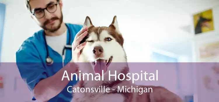 Animal Hospital Catonsville - Michigan