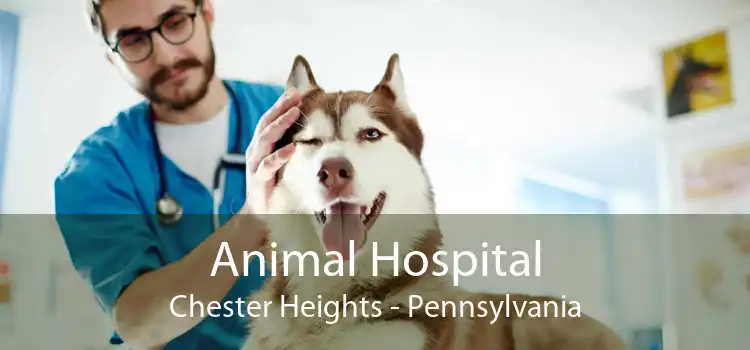 Animal Hospital Chester Heights - Pennsylvania
