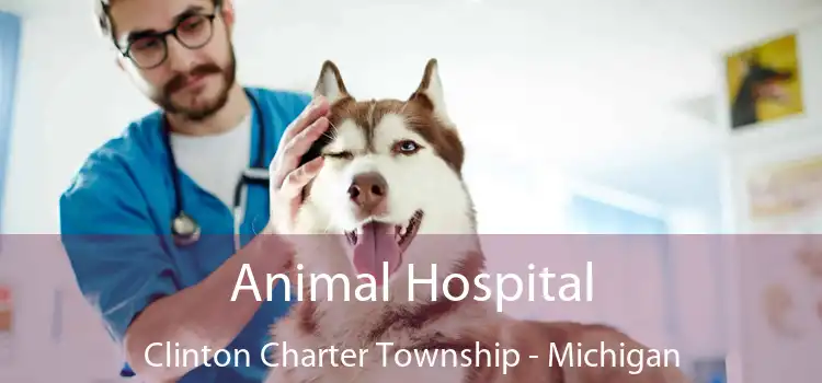 Animal Hospital Clinton Charter Township - Michigan