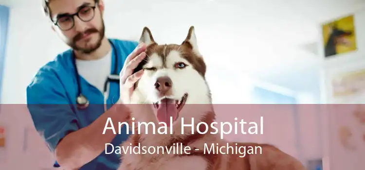 Animal Hospital Davidsonville - Michigan