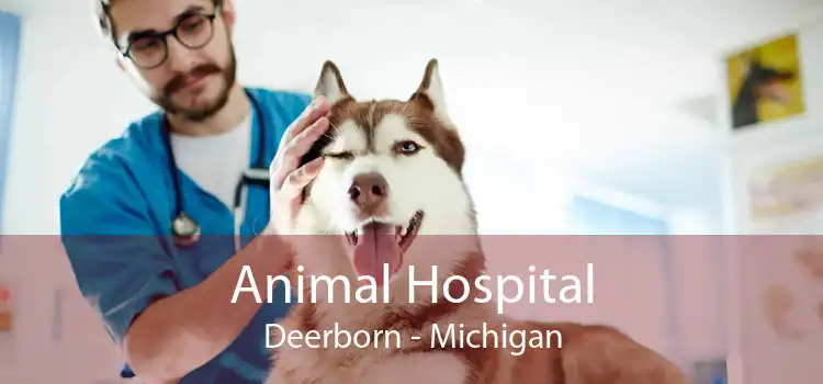 Animal Hospital Deerborn - Michigan
