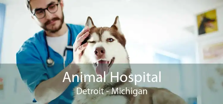 Animal Hospital Detroit - Michigan