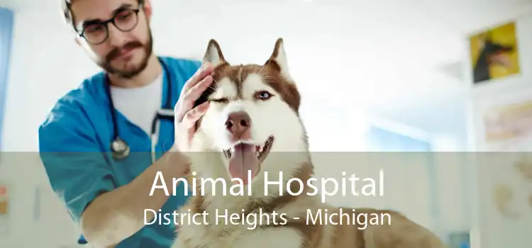 Animal Hospital District Heights - Michigan