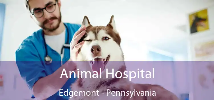 Animal Hospital Edgemont - Pennsylvania