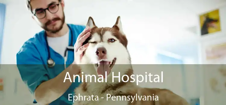 Animal Hospital Ephrata - Pennsylvania