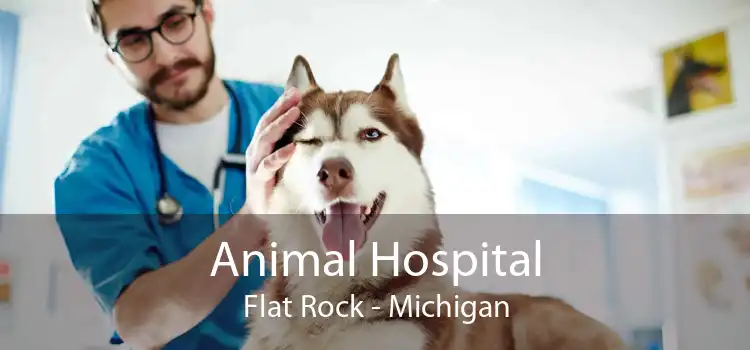 Animal Hospital Flat Rock - Michigan