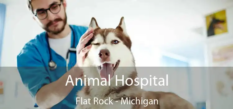Animal Hospital Flat Rock - Michigan