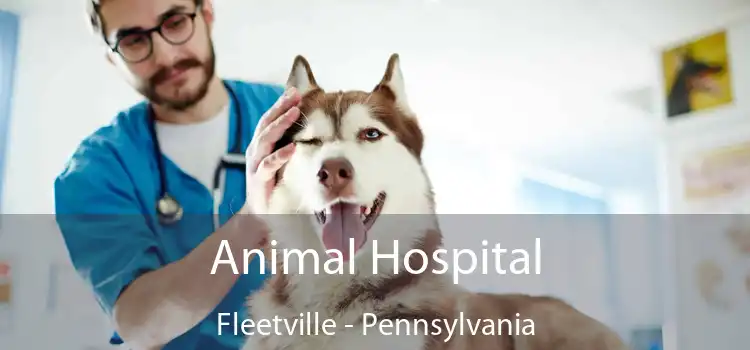 Animal Hospital Fleetville - Pennsylvania