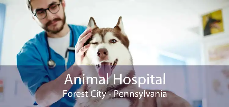 Animal Hospital Forest City - Pennsylvania