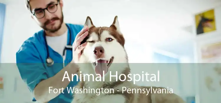 Animal Hospital Fort Washington - Pennsylvania