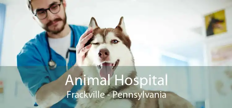 Animal Hospital Frackville - Pennsylvania
