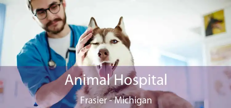 Animal Hospital Frasier - Michigan