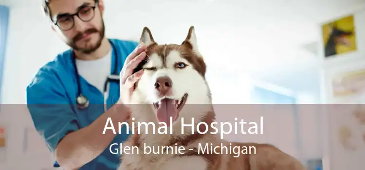 Animal Hospital Glen burnie - Michigan