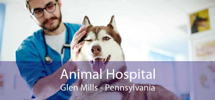 Animal Hospital Glen Mills - Pennsylvania