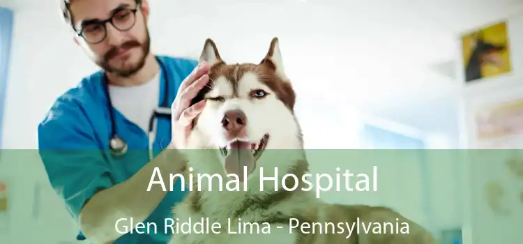 Animal Hospital Glen Riddle Lima - Pennsylvania