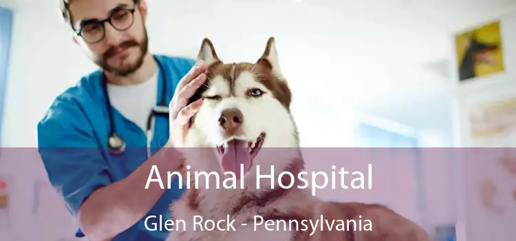 Animal Hospital Glen Rock - Pennsylvania