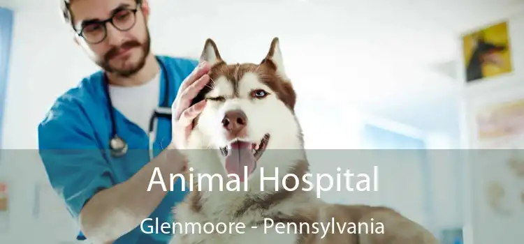 Animal Hospital Glenmoore - Pennsylvania