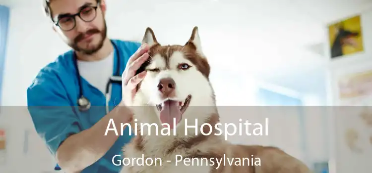 Animal Hospital Gordon - Pennsylvania
