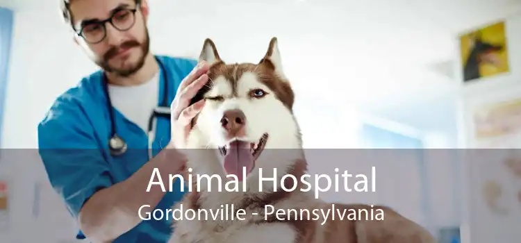 Animal Hospital Gordonville - Pennsylvania
