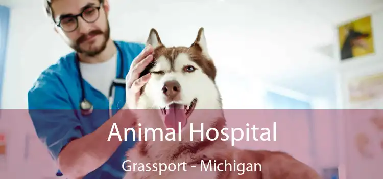 Animal Hospital Grassport - Michigan