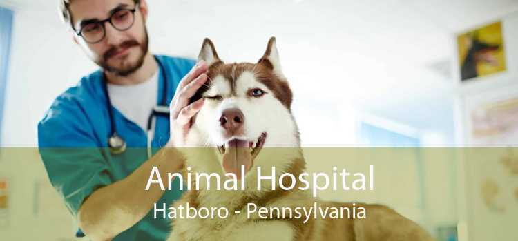 Animal Hospital Hatboro - Pennsylvania