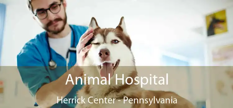 Animal Hospital Herrick Center - Pennsylvania