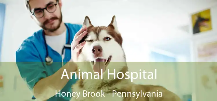 Animal Hospital Honey Brook - Pennsylvania