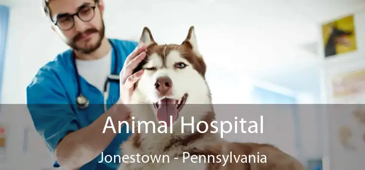 Animal Hospital Jonestown - Pennsylvania