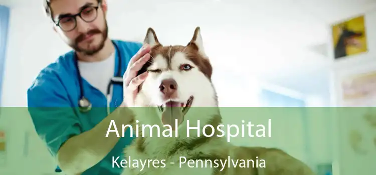 Animal Hospital Kelayres - Pennsylvania