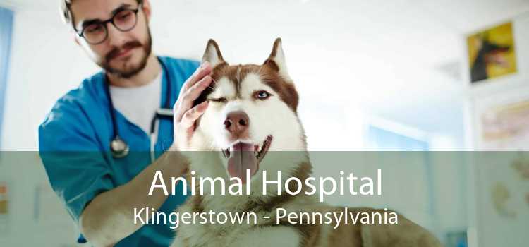 Animal Hospital Klingerstown - Pennsylvania