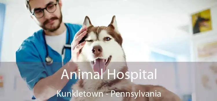 Animal Hospital Kunkletown - Pennsylvania