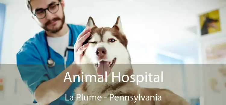 Animal Hospital La Plume - Pennsylvania