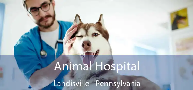 Animal Hospital Landisville - Pennsylvania