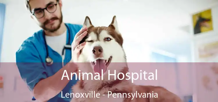 Animal Hospital Lenoxville - Pennsylvania