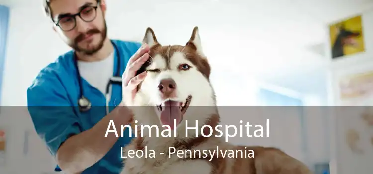 Animal Hospital Leola - Pennsylvania
