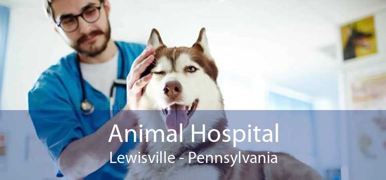 Animal Hospital Lewisville - Pennsylvania