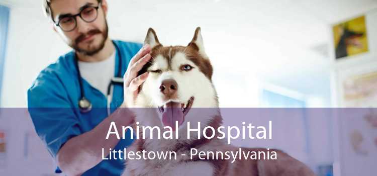 Animal Hospital Littlestown - Pennsylvania