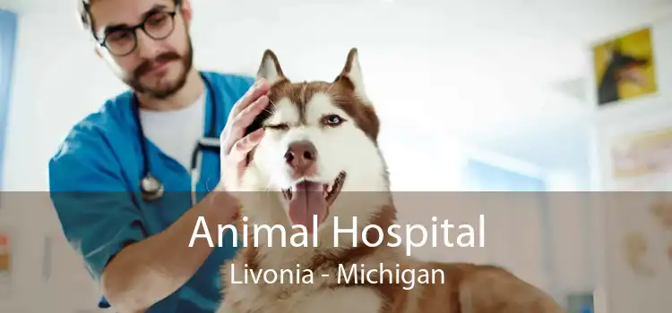 Animal Hospital Livonia - Michigan