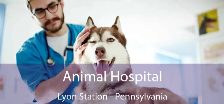 Animal Hospital Lyon Station - Pennsylvania