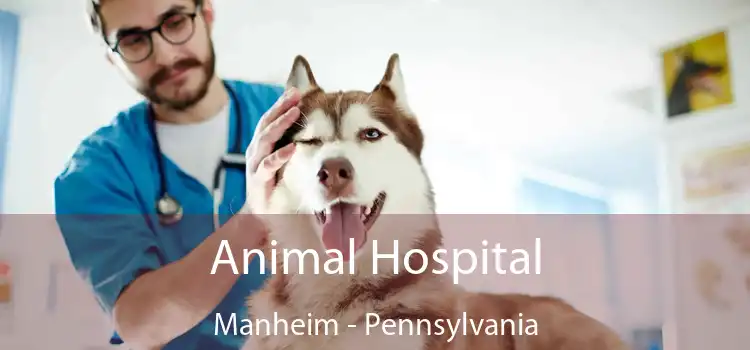 Animal Hospital Manheim - Pennsylvania