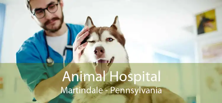 Animal Hospital Martindale - Pennsylvania