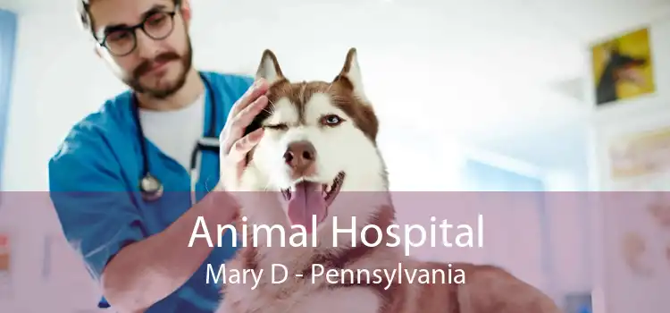 Animal Hospital Mary D - Pennsylvania