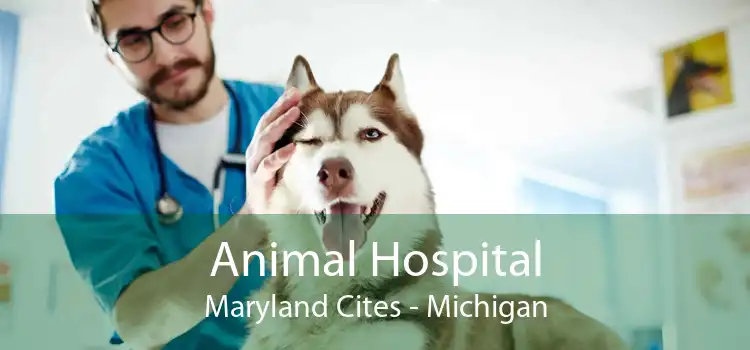 Animal Hospital Maryland Cites - Michigan