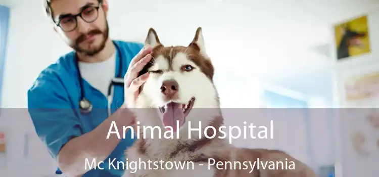 Animal Hospital Mc Knightstown - Pennsylvania