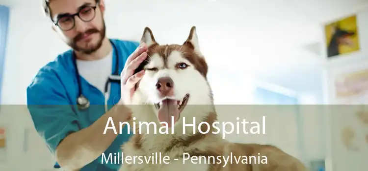 Animal Hospital Millersville - Pennsylvania