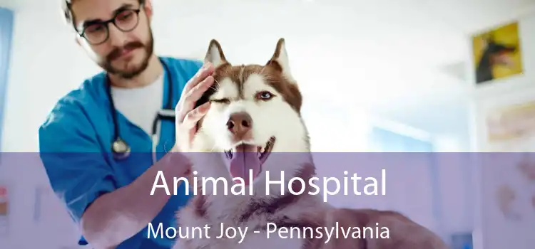 Animal Hospital Mount Joy - Pennsylvania